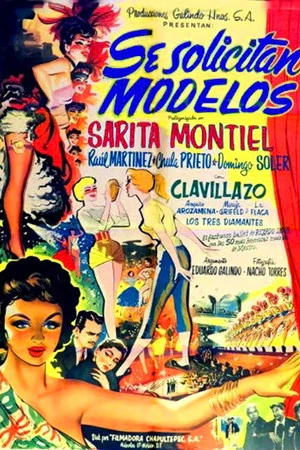 Постер: Se solicitan modelos