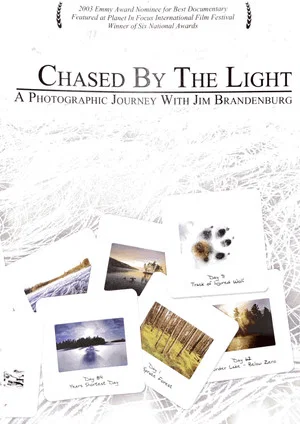 Постер: Chased by the Light