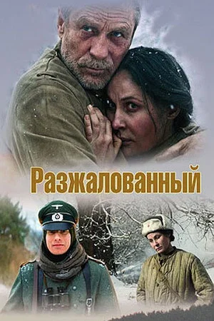 Постер: Разжалованный