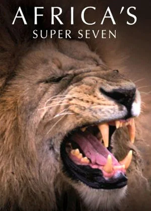 Постер: Africa's Super Seven