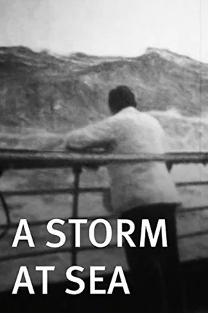 Постер: A Storm at Sea