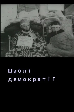 Постер: Levels Of Democracy