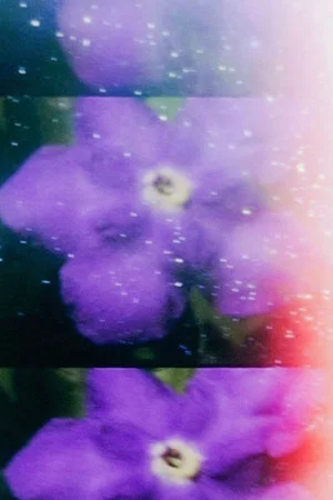 Постер: Venus