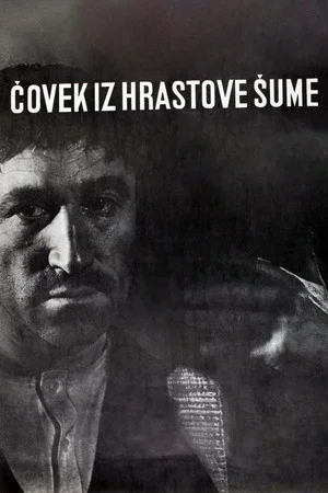 Постер: The Man from the Oak Forest