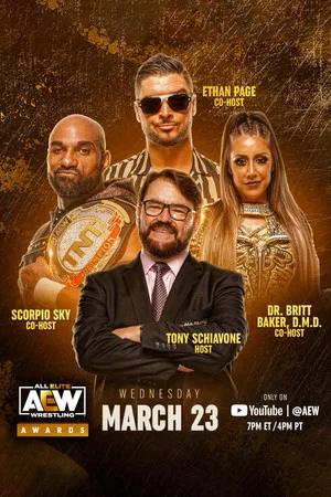 Постер: AEW Awards