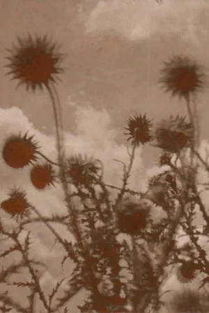 Постер: Crashing Skies