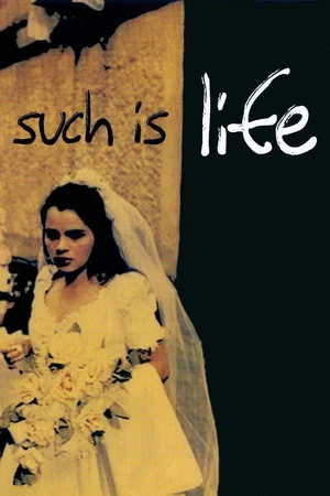 Постер: Such is Life