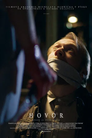 Постер: The Call