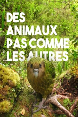 Постер: Des animaux pas comme les autres