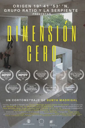 Постер: Zero Dimension