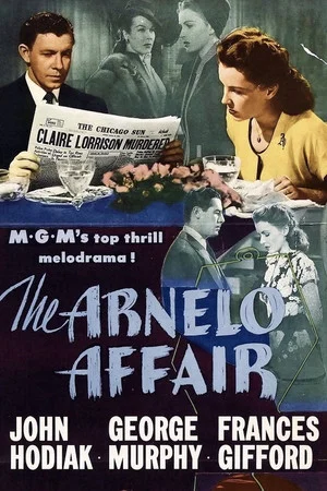 Постер: The Arnelo Affair