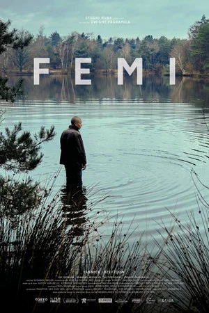 Постер: Femi