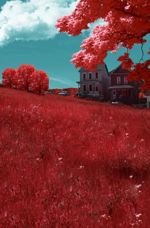 Постер: Braddock, PA