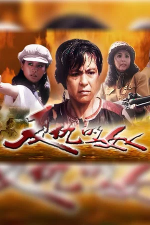 Постер: 复仇的女人