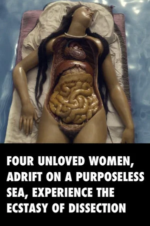Постер: Four Unloved Women, Adrift on a Purposeless Sea, Experience the Ecstasy of Dissection