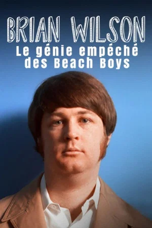 Постер: Brian Wilson – Le génie empêché des Beach Boys