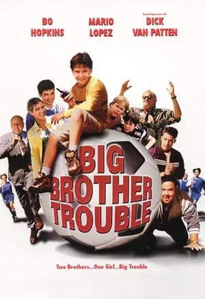 Постер: Big Brother Trouble