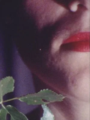 Постер: In Rouge