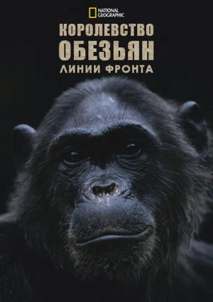 Постер: Королевство обезьян: линии фронта