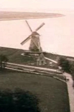 Постер: Medemblik