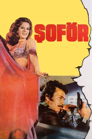 Постер: Şoför