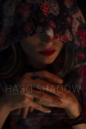 Постер: Hard Shadow