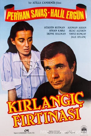 Постер: Kırlangıç Fırtınası