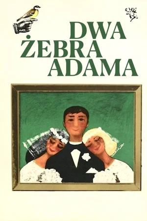 Постер: Два ребра Адама