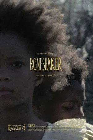 Постер: Boneshaker