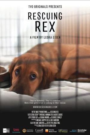 Постер: Rescuing Rex