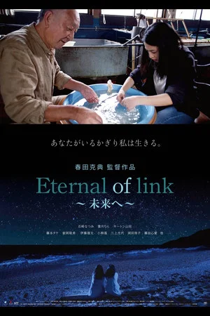 Постер: Eternal of Link