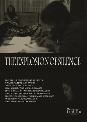Постер: The Explosion of Silence