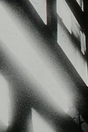 Постер: Kay Serra Serra/The Mirrors (New Paltz Diary, 1975)