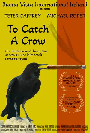 Постер: To Catch a Crow