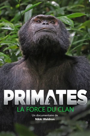 Постер: Primates: The Strength of the Clan