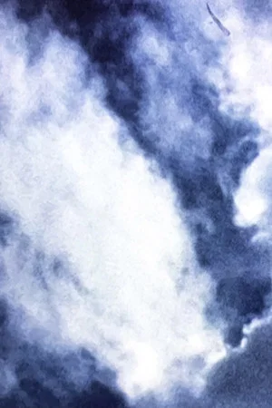 Постер: Fast nur wolken (+ blumen)