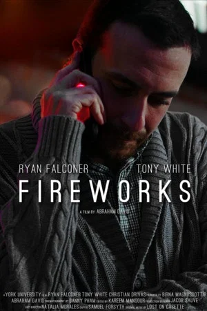 Постер: Fireworks