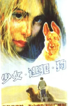 Постер: 少女、逃犯、狗