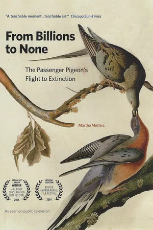 Постер: From Billions to None: The Passenger Pigeon's Flight to Extinction