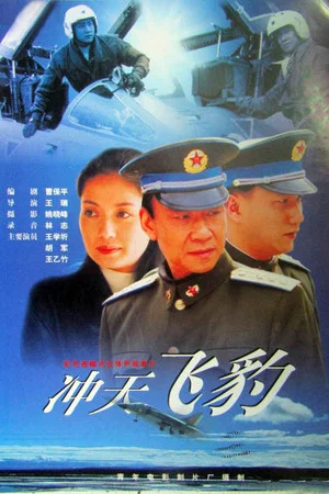 Постер: 冲天飞豹