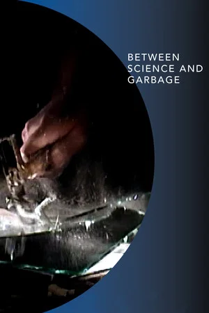 Постер: Between Science and Garbage
