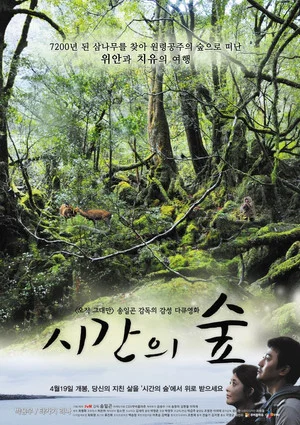 Постер: Forest of Time