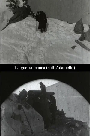Постер: La guerra bianca (sull'Adamello)