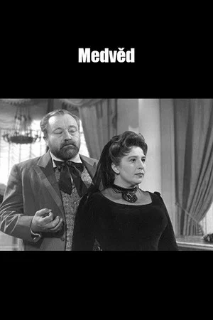 Постер: Medvěd