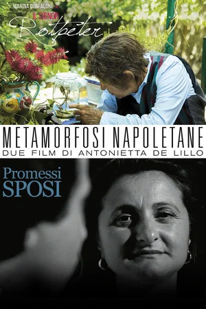 Постер: Metamorfosi Napoletane