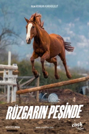 Постер: Rüzgarın Peşinde