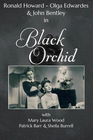 Постер: Black Orchid
