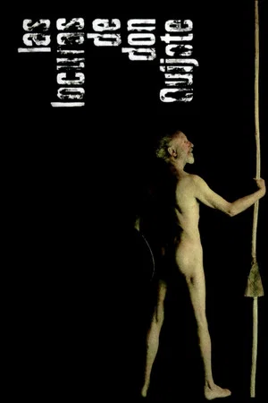 Постер: Las locuras de don Quijote
