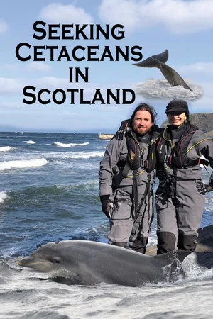 Постер: Seeking Cetaceans In Scotland