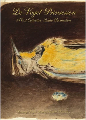Постер: De vogel prinsessen